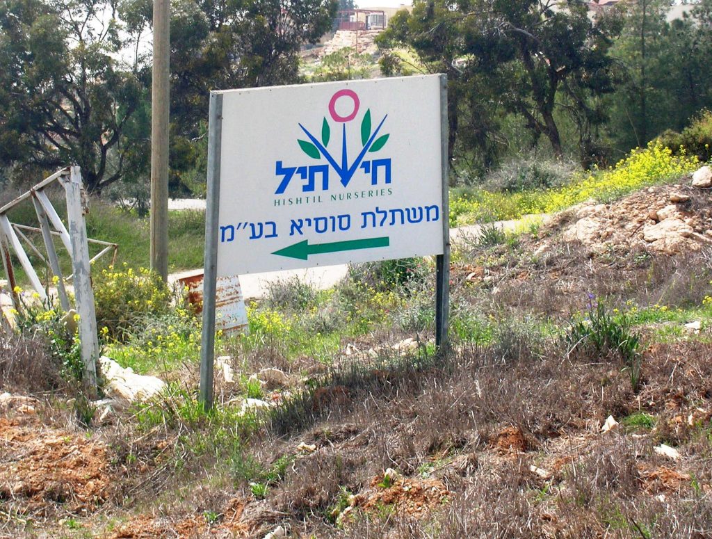 Hishtil plant-nurserie | Susya Settlement | Apr 2009 | Photographed by Who Profits