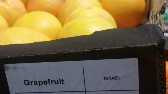 Grapefruit supplied by Israeli company Mehadrin on sale in Lidl. Photo by Corporate Occupation May 2019
