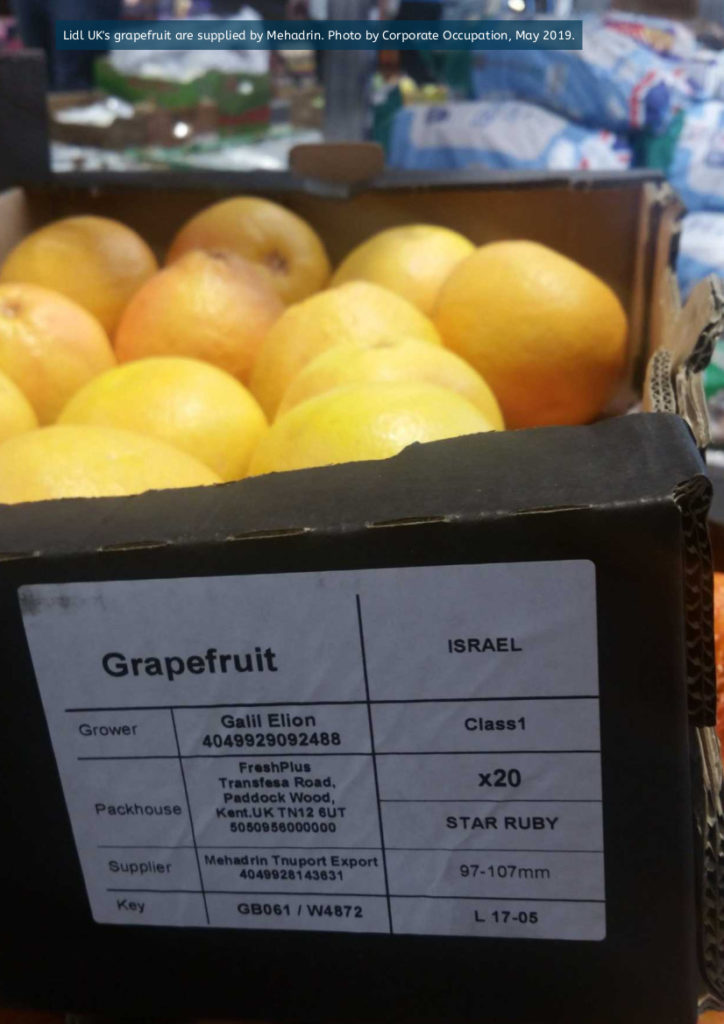 Grapefruit supplied by Israeli company Mehadrin on sale in Lidl. Photo by Corporate Occupation May 2019